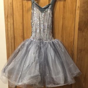 Curtain Call Large Adult Ballet Costume